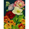 Madame Treacle Midnight Poppies Card- Greeting Cards