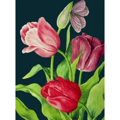 Madame Treacle Midnight Tulips Card- Greeting Cards