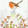 Emma Ball Milk Bottle Robin pack of 6 Christmas Cards- Christmas Cards|Christmas