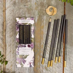 Toasted Crumpet Mulberry Set of 6 Pencils- Stationery