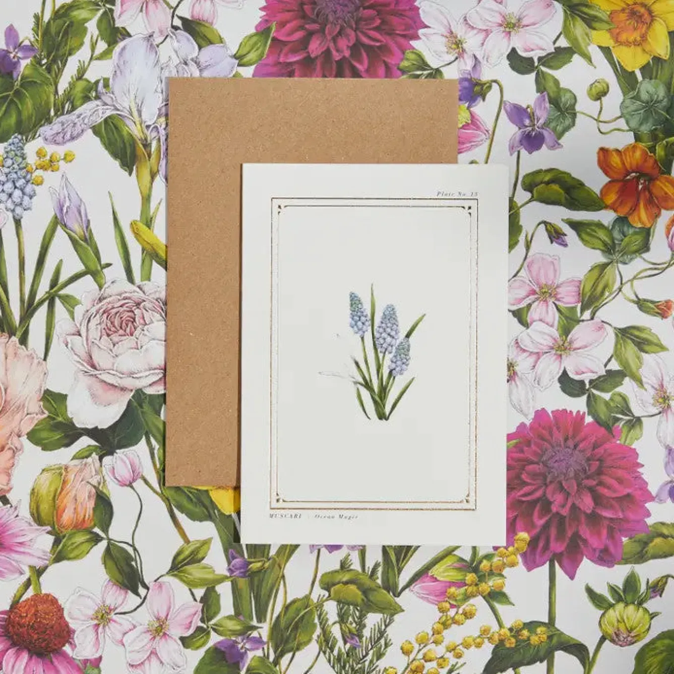 Catherine Lewis Muscari - 'Botanical Archive: Everyday Edition' - card- Greeting Cards