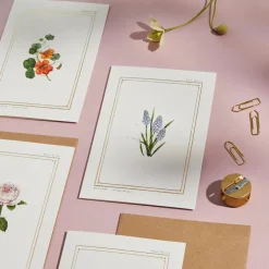 Catherine Lewis Muscari - 'Botanical Archive: Everyday Edition' - card- Greeting Cards