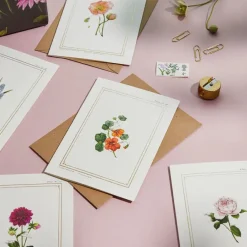 Catherine Lewis Nasturtium - 'Botanical Archive: Everyday Edition' - card- Greeting Cards