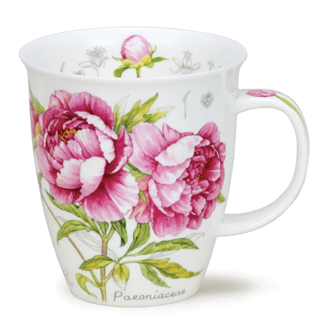 Dunoon Nevis Botanical Sketch Mug- Tea|Flowers & Garden