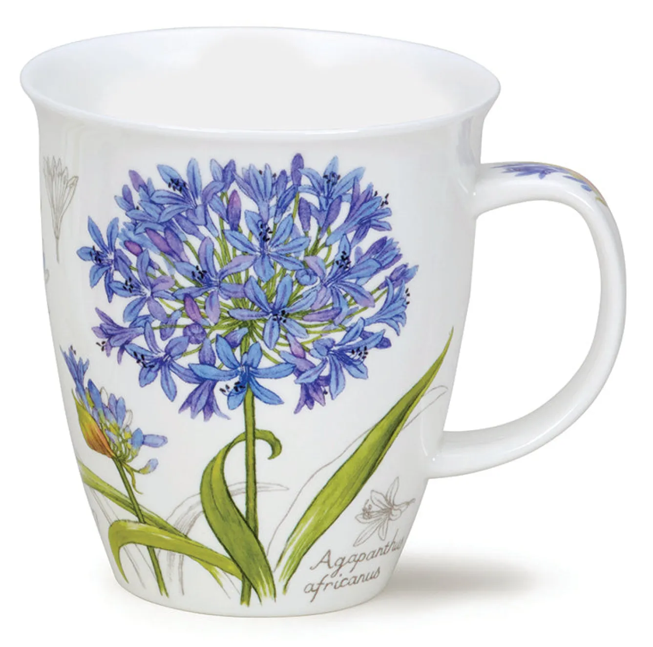 Dunoon Nevis Botanical Sketch Mug- Tea|Flowers & Garden