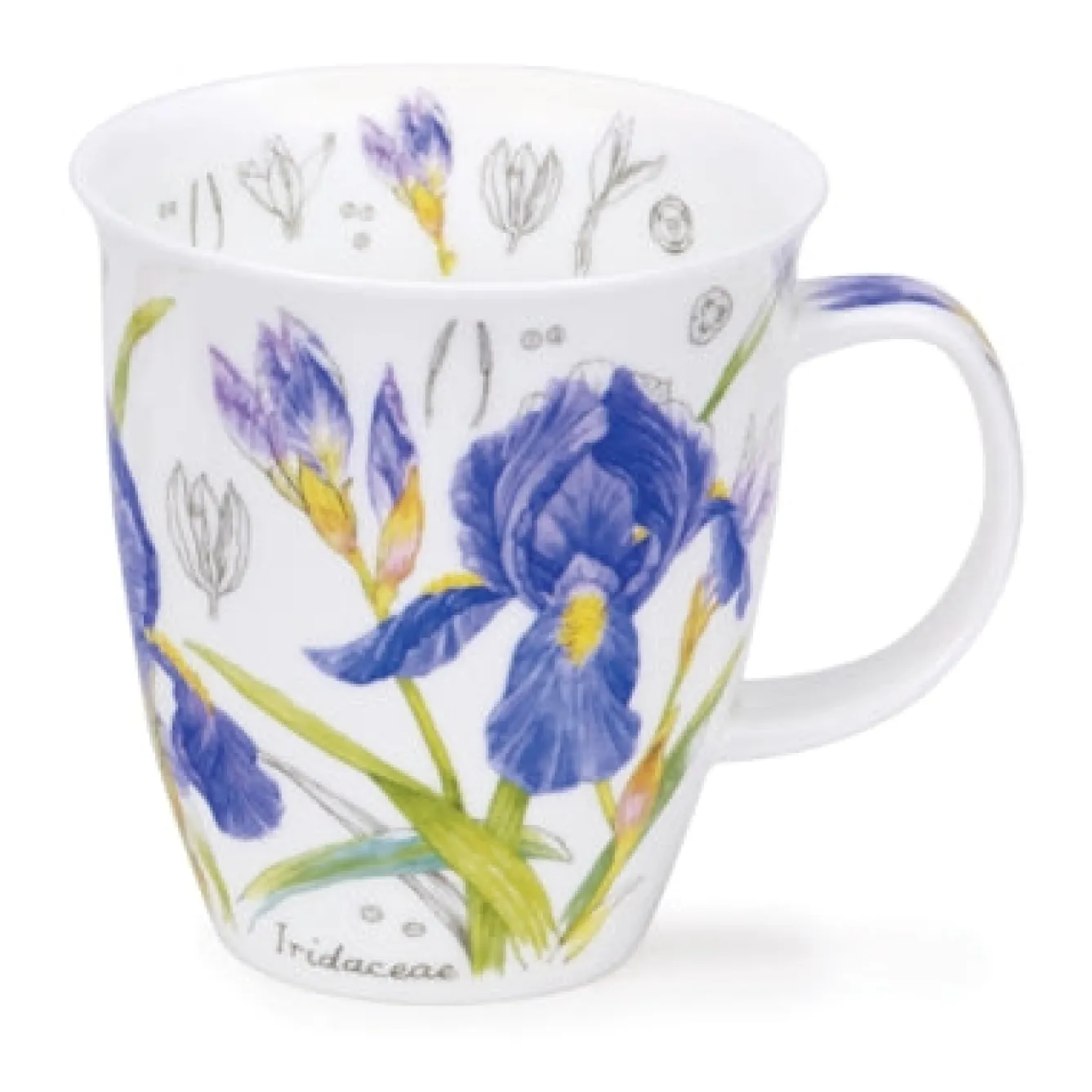 Dunoon Nevis Floral Sketch Mugs- Tea|Gardening