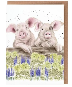 Wrendale Designs 'Nosy Neigh-boars' Pig Greetings Card- Greeting Cards