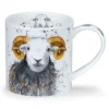 Dunoon Orkney Shaggy Sheep Mugs- Animals|Animals