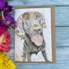 Jen Winnett Ozzy The Labrador Eco-Card- Greeting Cards