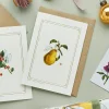 Catherine Lewis Pear - 'Botanical Archive: Festive Edition' - card- Greeting Cards
