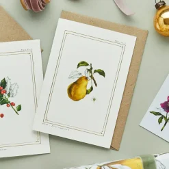 Catherine Lewis Pear - 'Botanical Archive: Festive Edition' - card- Greeting Cards
