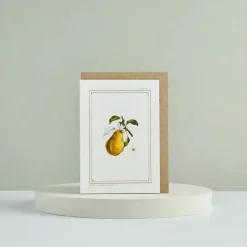 Catherine Lewis Pear - 'Botanical Archive: Festive Edition' - card- Greeting Cards