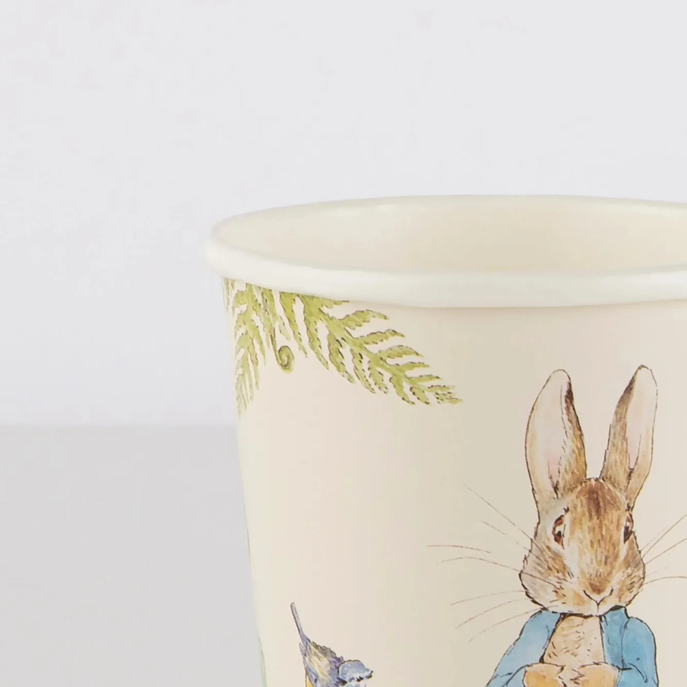 Meri Meri Peter Rabbit In The Garden Cups- Easter|Novelty