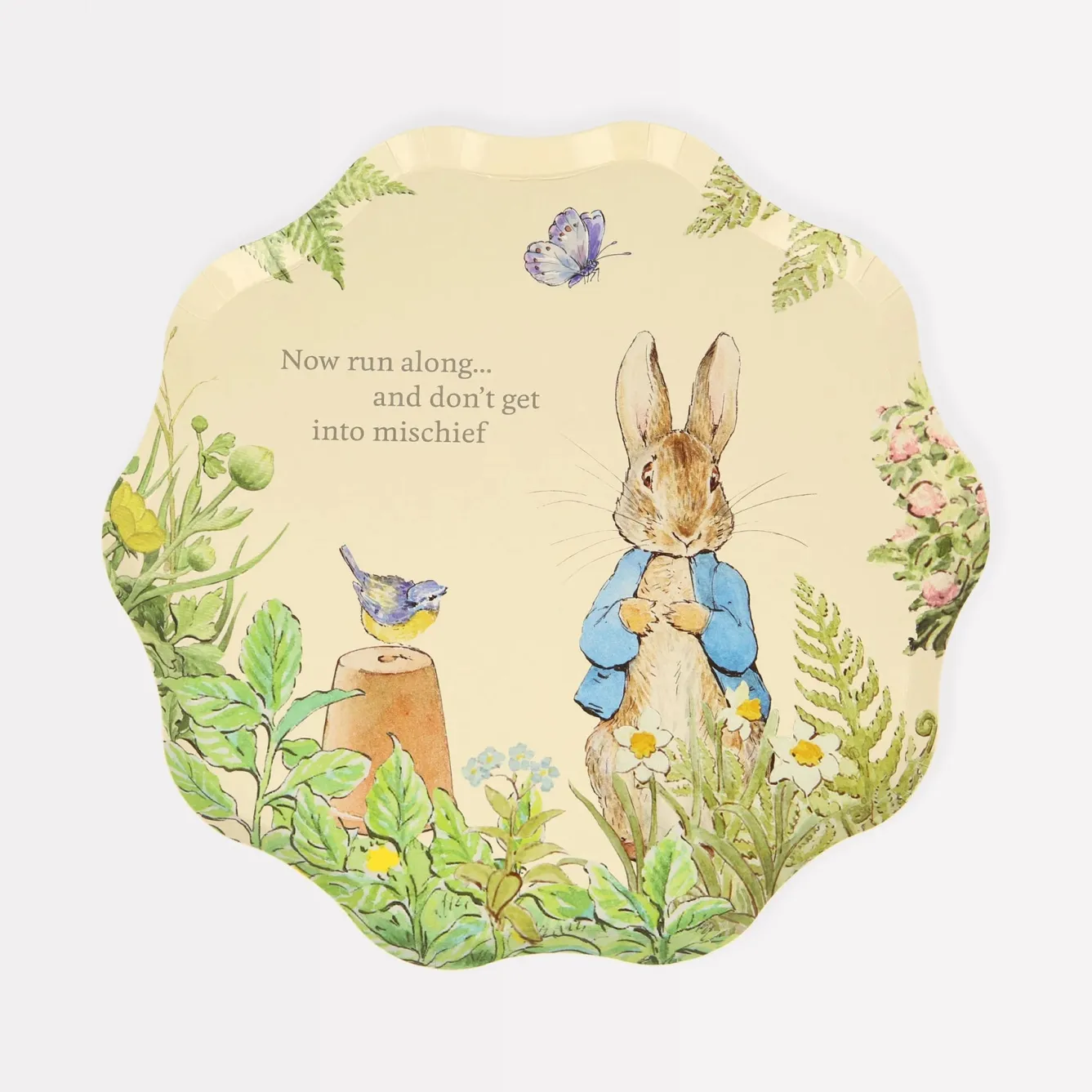 Meri Meri Peter Rabbit In The Garden Side Plates- Easter|Novelty