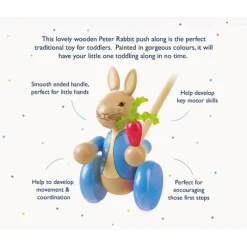 Orange Tree Toys Peter Rabbit™ Wooden Push Along Toy- Children