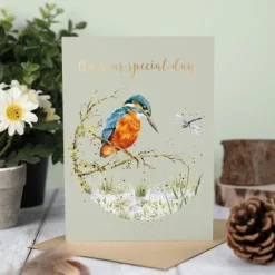 Wrendale Designs 'Pond Dipping' Kingfisher Greetings Card- Greeting Cards