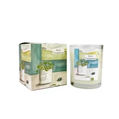 Heaven Scent Pot Plant- Black Pomegranate Glass Candle- Home Fragrance