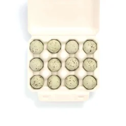 The Chocolate Detective 12 Quail Eggs by- Easter|Chocolate