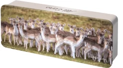 Dean's of Huntley Shortbread "All Ears" All Butter Shortbread Squares 150g- Snacks & Crackers|Biscuits