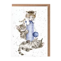 Wrendale Designs "Three's A Crowd" Cat Greetings Card- Greeting Cards