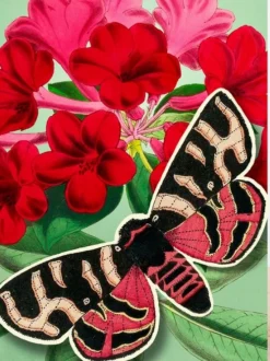 Madame Treacle Red Pop Up Greeting Card with Butterfly- Greeting Cards