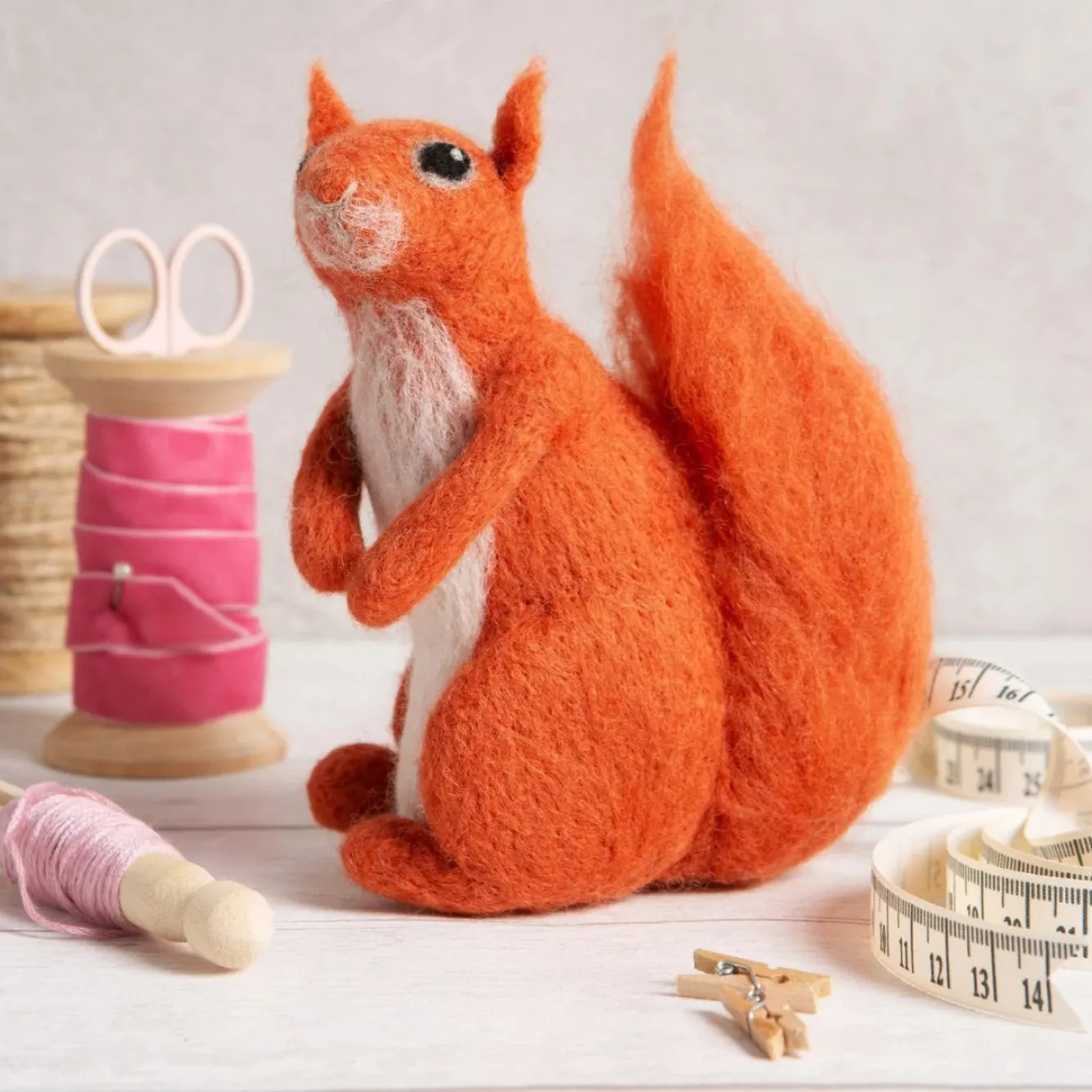 Hawthorn Handmade Red Squirrel Needle Felting Kit- Crafts|Children