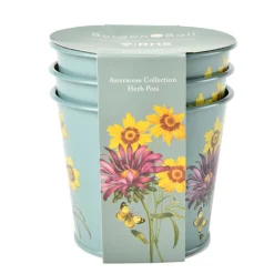 Burgon & Ball RHS Asteraceae Set of 3 Herb pots- Gardening|Gardening