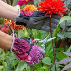 Burgon & Ball RHS British Blooms Gardening Gloves- Gardening