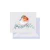 Wrendale Designs 'Robin and Eucalyptus' Gift Enclosure Card- Greeting Cards