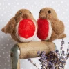 Hawthorn Handmade Robins Needle Felting Kit- Christmas|Seasonal Decor