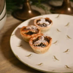 Sophie Allport Robins Stoneware Dinner Plate- Christmas|Tea