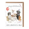 Wrendale Designs 'Round of A-Paws' Birthday' Dog Congratulations Greetings Card- Greeting Cards