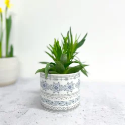 Alex Allday Safflower Ceramic Planter Pot/Tea Light Holder- Tea|Home Fragrance