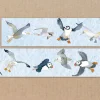 Emma Ball Seabirds 20mm Washi Tape- Stationery|Crafts