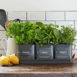 Burgon & Ball Set of 3 Herb Pots in a Leather Handled Tray - Grey- Gardening|Gardening