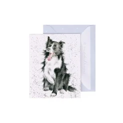 Wrendale Designs 'Shadow' Border Collie Gift Enclosure Card- Greeting Cards
