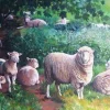 All Jigsaw Puzzles Sheep In Shade 1000 Piece Jigsaw Puzzle- Puzzles|Children