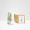 Helen Beard Silver Birch Vase- Vases