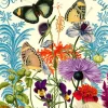 Madame Treacle Singing Butterflies Mother's Day Card- Greeting Cards