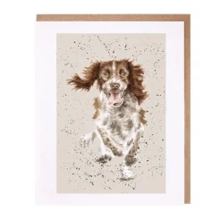 Wrendale Designs 'Skye' Springer Spaniel Greetings Card- Greeting Cards|Children