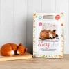 The Crafty Kit Co. Sleepy Fox Needle Felting Kit- Crafts
