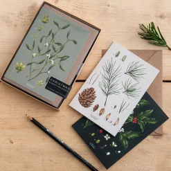 Catherine Lewis Species Range - Box of 8 Luxury Botanical Christmas Cards- Christmas Cards|Christmas