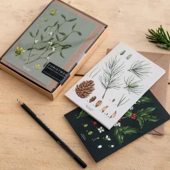 Catherine Lewis Species Range - Box of 8 Luxury Botanical Christmas Cards- Christmas Cards|Christmas