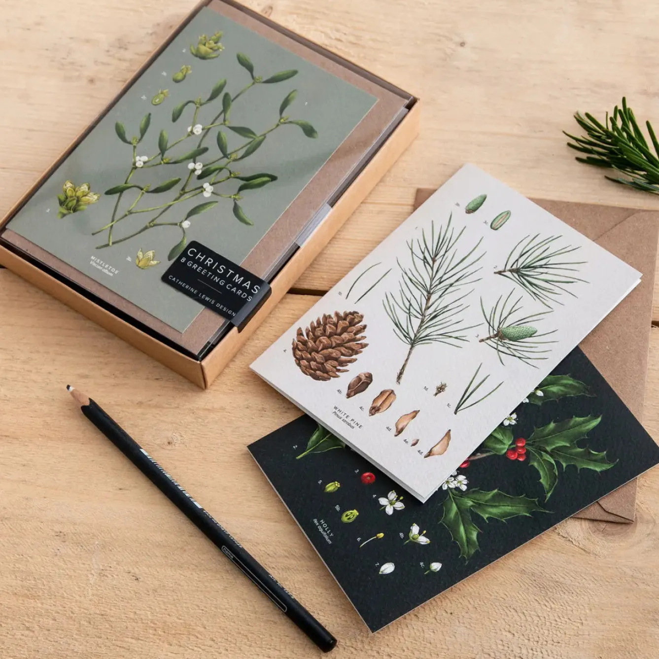 Catherine Lewis Species Range - Box of 8 Luxury Botanical Christmas Cards- Christmas Cards|Christmas