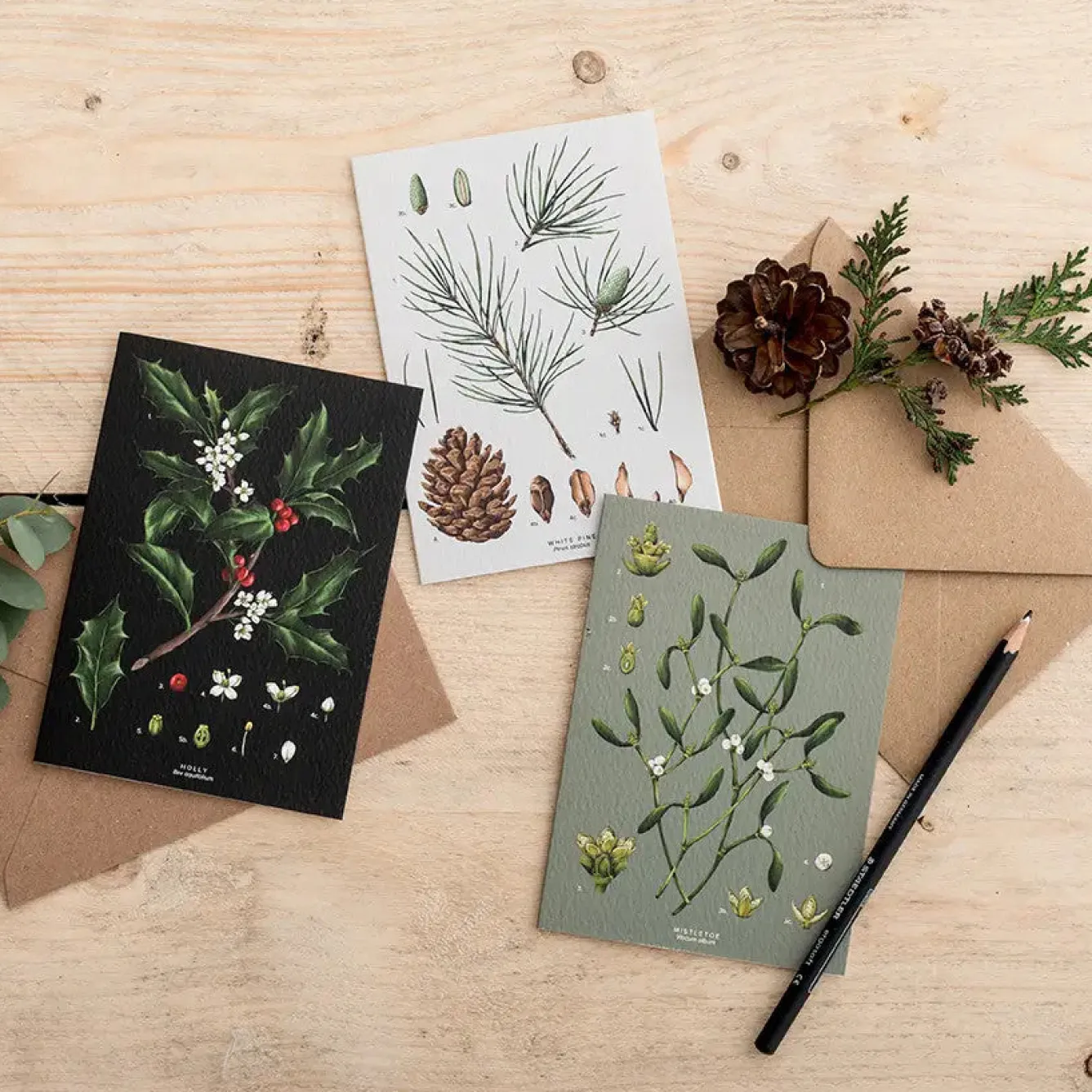 Catherine Lewis Species Range - Box of 8 Luxury Botanical Christmas Cards- Christmas Cards|Christmas