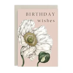 Catherine Lewis Spring Blossom - Birthday Wishes - card- Greeting Cards