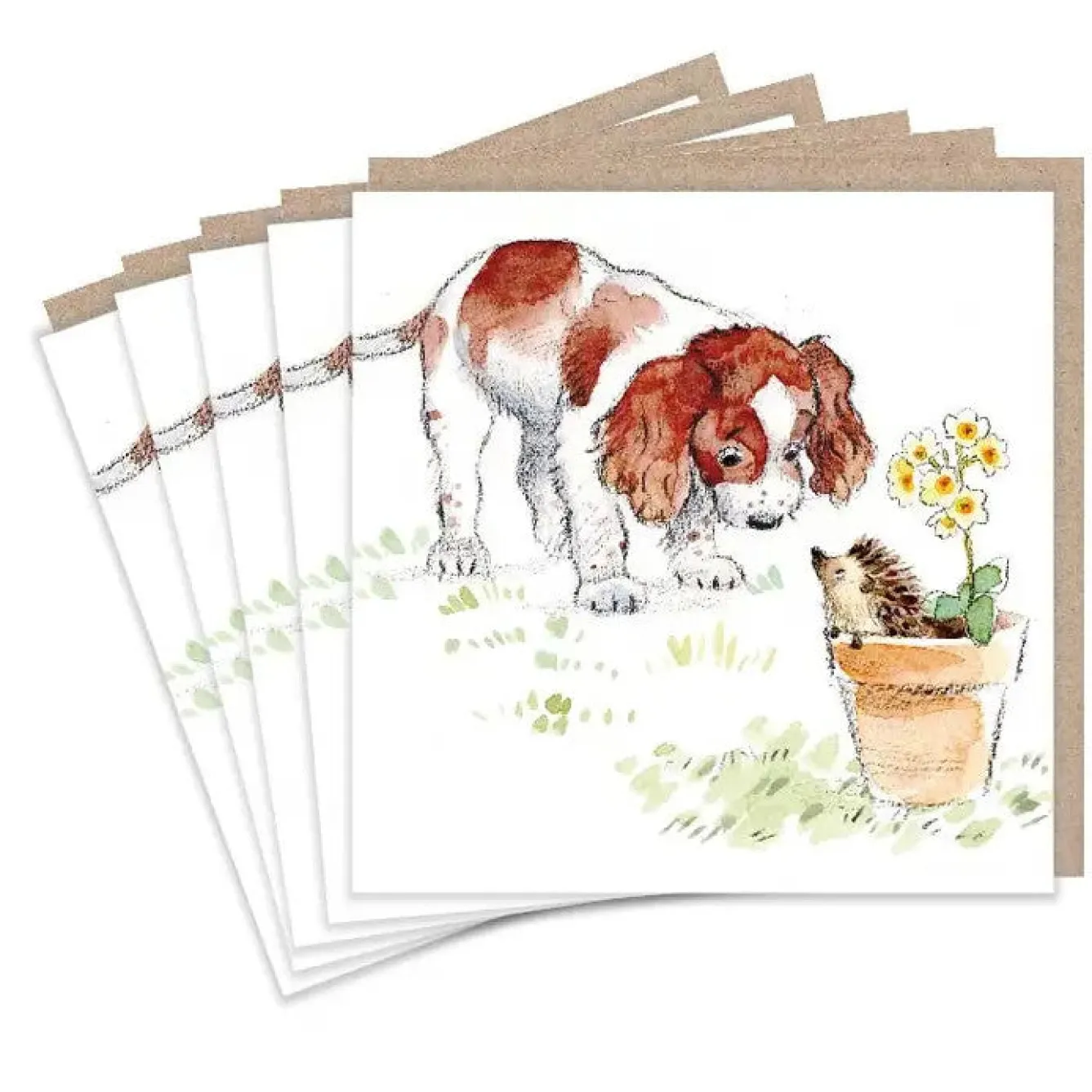 Paper Shed Design Springer Spaniel and Hedgehog Set of 5 Notecards- Greeting Cards