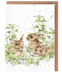 Wrendale Designs 'Spring Hares' Bunny Greetings Card- Greeting Cards