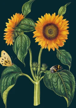 Madame Treacle Sunflower Greetings Card- Greeting Cards