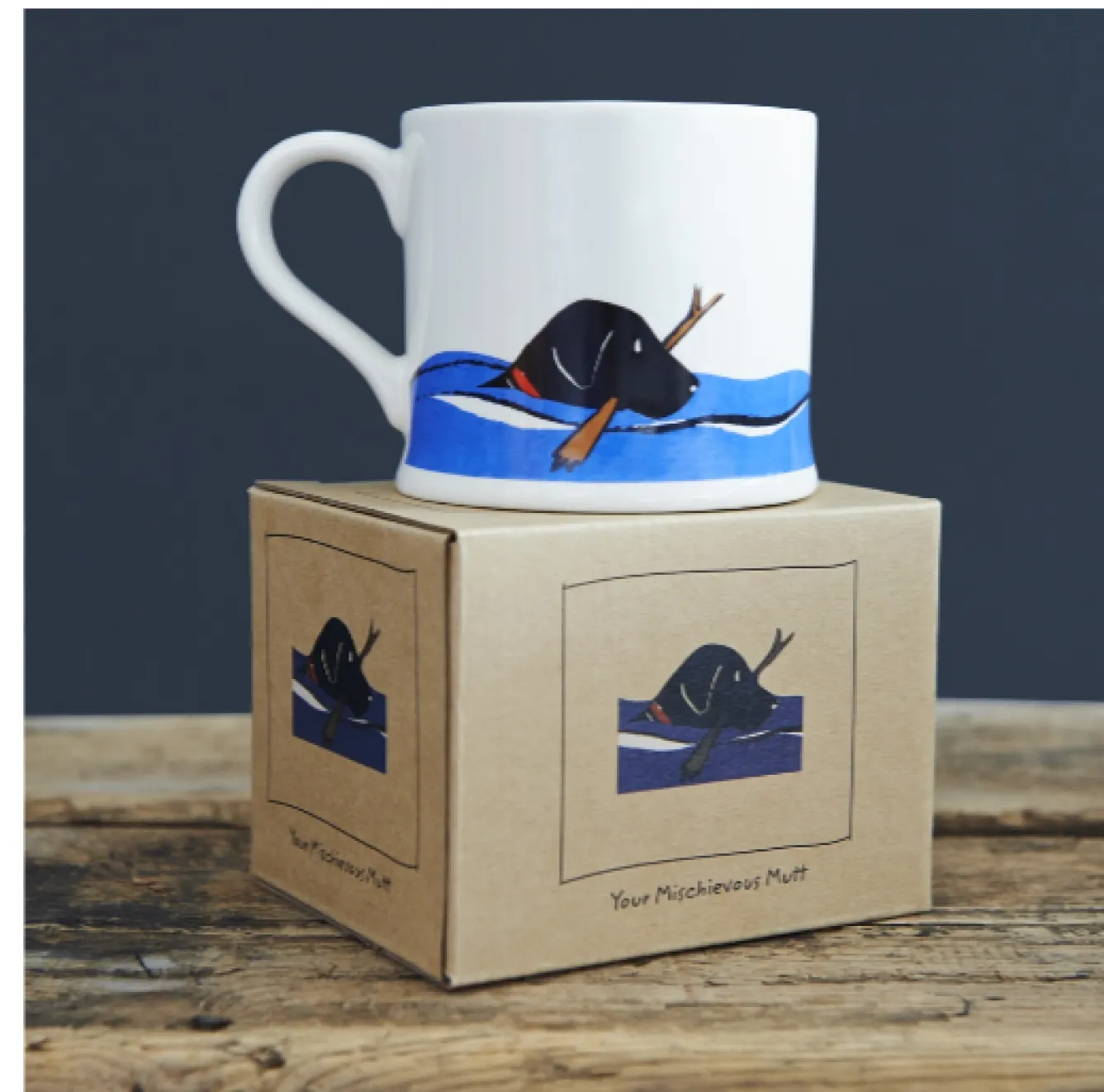 Sweet William Swimming Black Labrador Mug Boxed- Pets|Pets